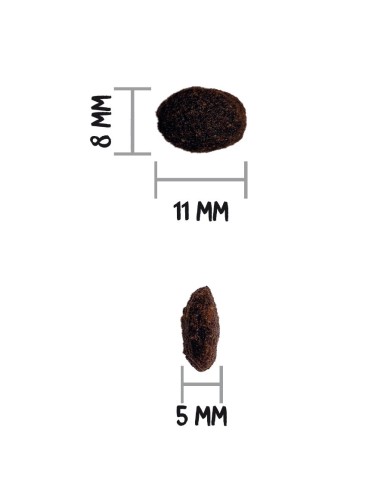 Ownat Chat GF Prime Hairskin Care