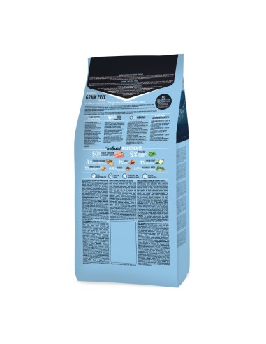 Ownat Chat GF Prime Kitten