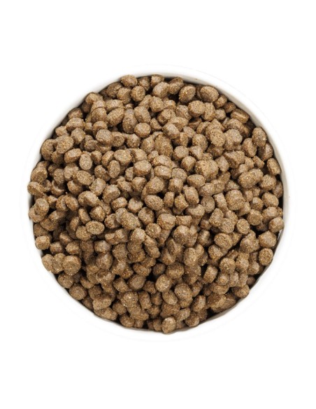 Ownat Chat Just GF Sterilised Fish