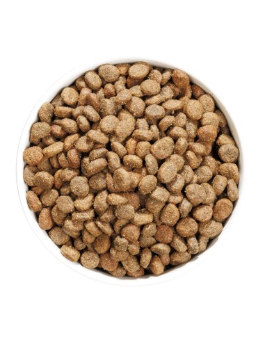 Ownat Chien GF Hypo Mini Agneau