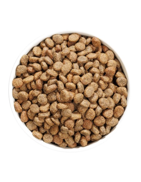 Ownat Chien GF Hypo Mini Agneau