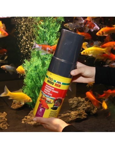 JBL Pronovo Red Flakes M 750ml (Recharge)