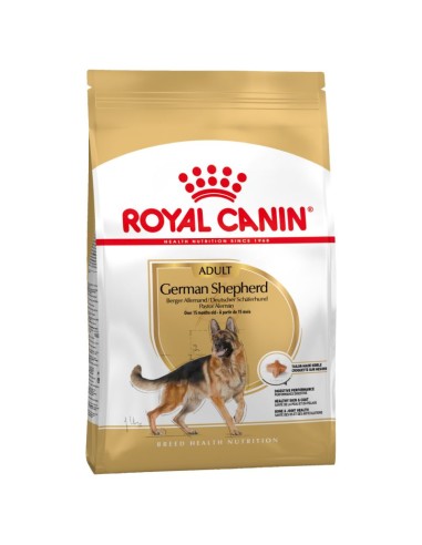 Berger Allemand - 11Kg* - Royal Canin - Croquettes pour chiens adultes 