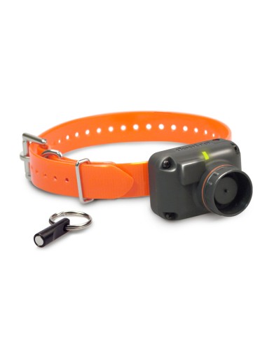 Dogtra Beeper Stb-Beep-H Aigu - collier pour chiens