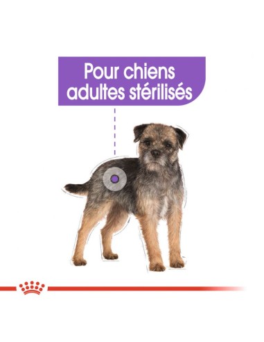 Chiens stérilisés - Royal Canin - Croquettes...