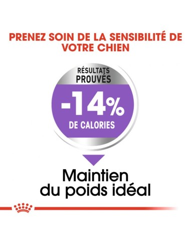 Chiens stérilisés - Royal Canin - Croquettes...