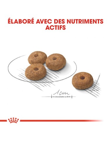 Chiens stérilisés - Royal Canin - Croquettes...