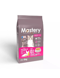 Mastery Chaton 2