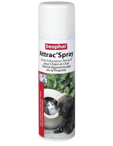 Spray Attractif 250Ml 