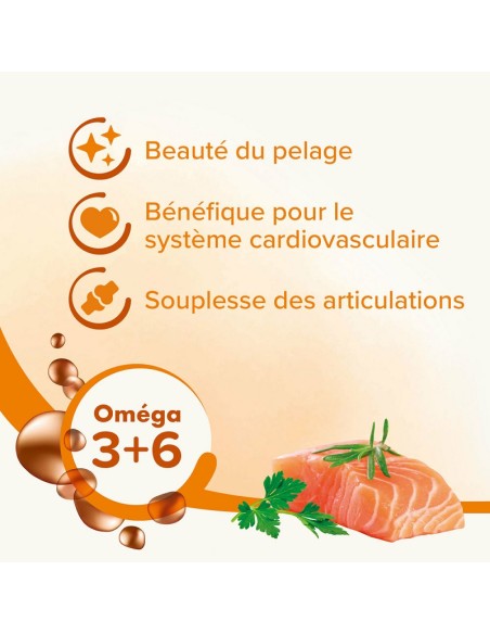 Huile de Saumon - Différents Volumes