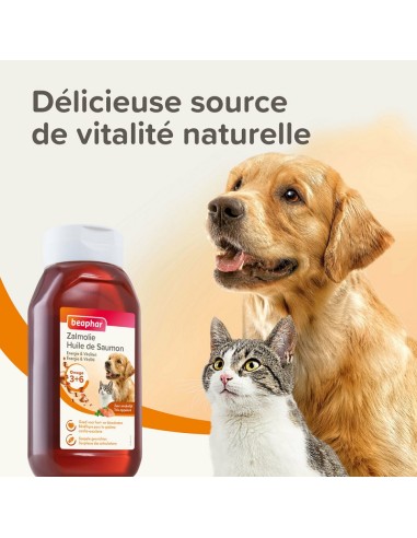 Huile de Saumon - Différents Volumes