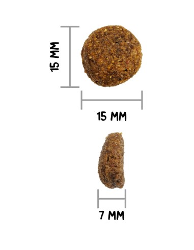 Ownat Chien Classic Monoproteic Saumon 12kg