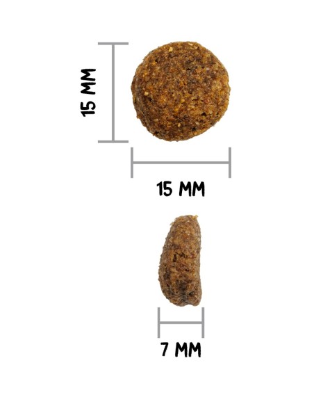 Ownat Chien Classic Monoproteic Saumon 12kg