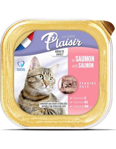 Pâtée pour chats adultes au saumon - Repas Plaisir - 100g