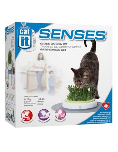 Kit de jardin pour herbe à chat