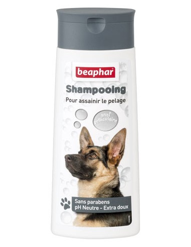 Shampooing Bulle Antipelliculaire 250Ml - Beaphar - shampooing pour chiens