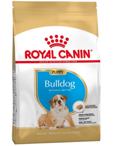 Bulldog Anglais Puppy - 12Kg* - Royal Canin - Croquettes pour chiots