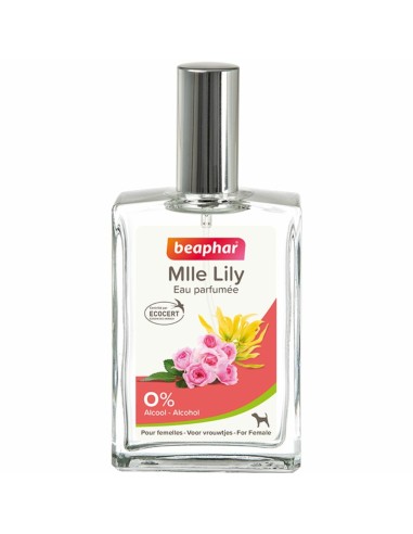 Parfum M Lily Femelles 50Ml