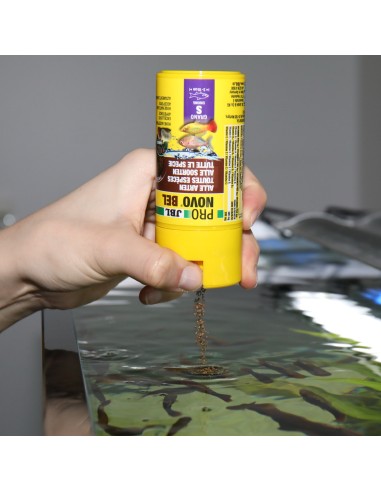 JBL Pronovo Bel Grano S Click - Différents Volumes