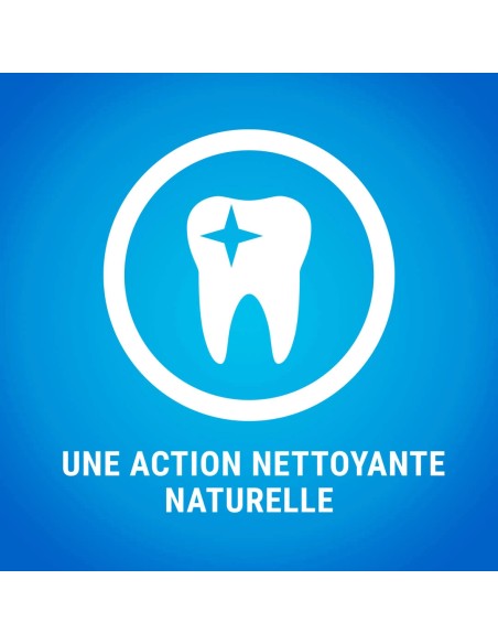 DENTALIFE CHAT 40 Gr - Différents Goûts