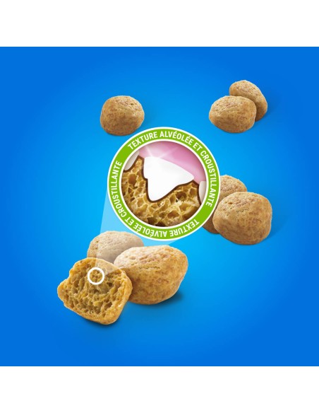DENTALIFE CHAT 40 Gr - Différents Goûts