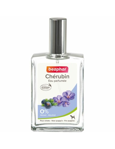 Parfum Cherubin Chiots 50Ml