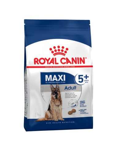 Chiens Maxi 5+  - 15Kg* - Royal Canin - Croquettes chiens adultes