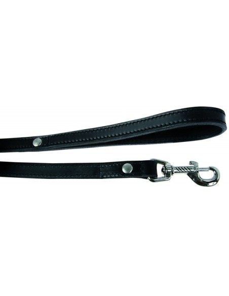 Laisse Cuir Double 1M - Différents Coloris/Largeur