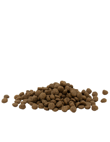 Adult Poulet - Opti-Life - Croquettes chats...