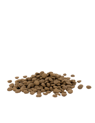 Adult Sterilised/Light Poulet - Opti-Life -...