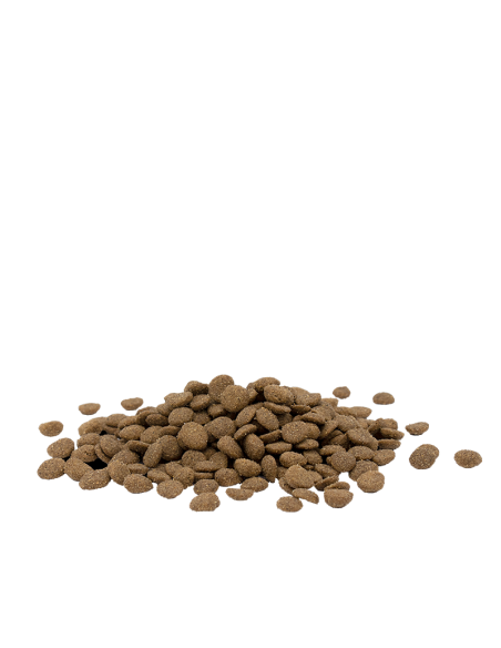 Adult Sterilised/Light Poulet - Opti-Life - Croquettes chats adultes