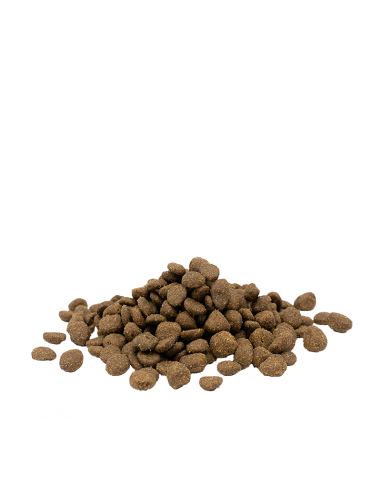 Adult Sensitive Saumon - Opti-Life - Croquettes...