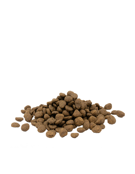 Adult Sensitive Saumon - Opti-Life - Croquettes chats adultes