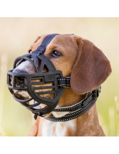 Muselière Muzzle Flex silicone - Différentes...