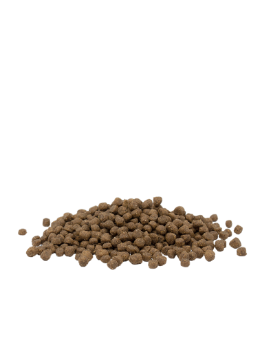 Chaton Poulet - Opti-Life - Croquettes chatons