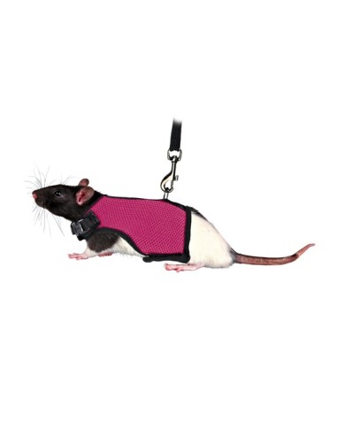 HARNAIS + LAISSE RATS 12-18cm 120cm