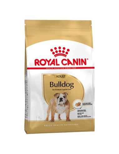 Bulldog Anglais - 12Kg* - Royal Canin - Croquettes  pour chiens adultes
