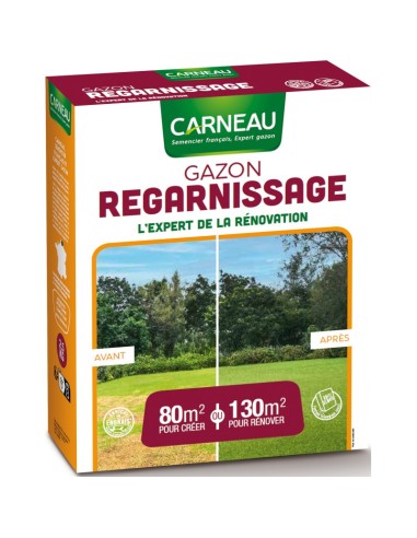 Gazon Regarnissage 2,5Kg (125M2)