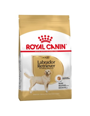 Labrador - 12Kg* - Royal Canin - Croquettes pour chiens adultes