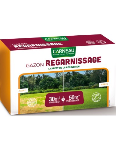 Gazon Regarnissage 1Kg (50M2)