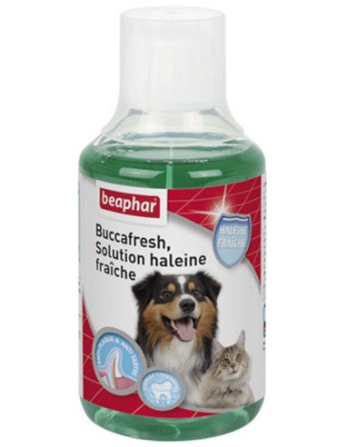 Beaphar Solution Haleine Fraîche 250Ml