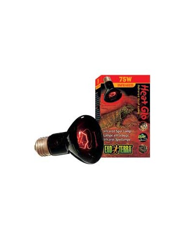 Lampe Infra Reptile 75W 63Mm