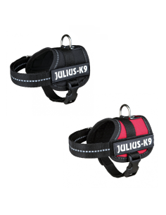 Harn Power Julius K9 BABY 2/XS-S (33-45cm) - Noir ou Rouge