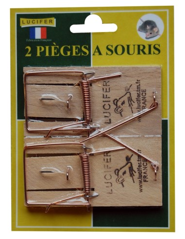 Carte De 2 Pieges A Souris