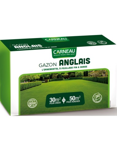 Gazon Anglais 1Kg (30M2)