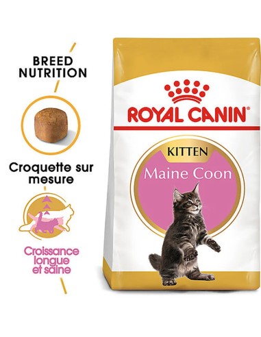 Royal Canin Maine Coon Kitten 10kg