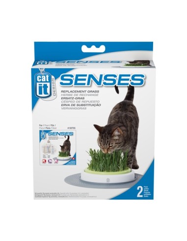 Herbe à chat (lot de 2 recharges)