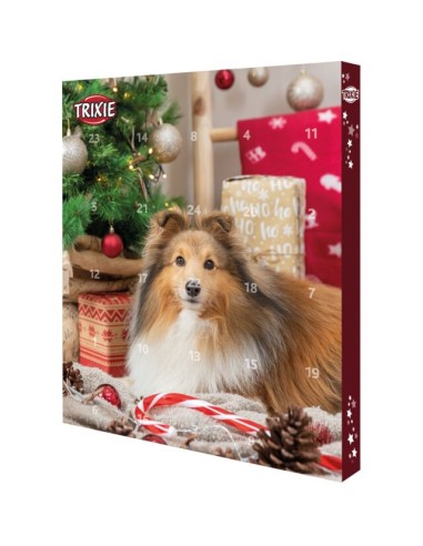 Calendrier De L Avent Pour Chiens Noel