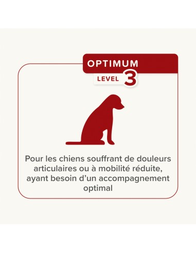 Flexifit 175Gr - 30 Bouchées Glucosamine