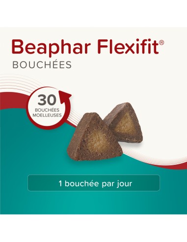 Flexifit 175Gr - 30 Bouchées Glucosamine